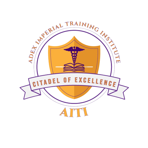 Adex Training Institute